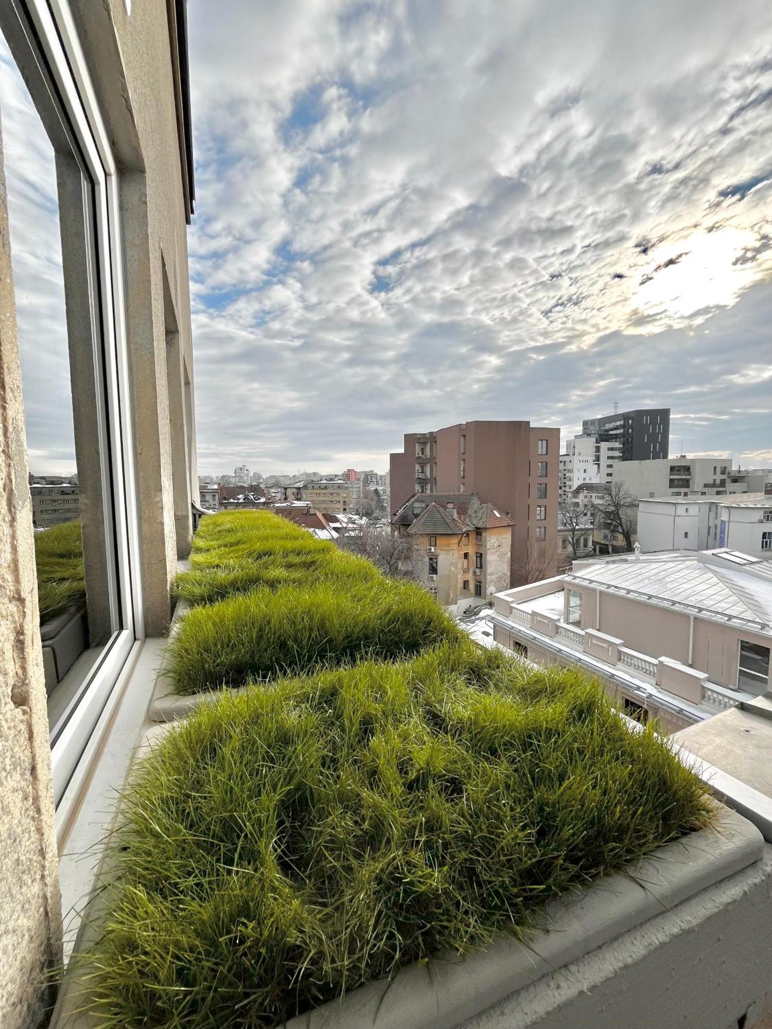 Terrace View Downtown Studio Bukarest Exteriör bild