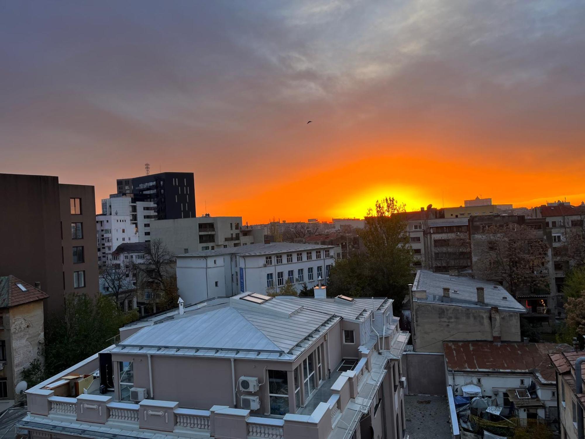 Terrace View Downtown Studio Bukarest Exteriör bild